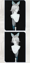 Load image into Gallery viewer, UWOWO Feixiao Wig Game Honkai Star Rail Feixiao Cosplay Wig Fei Xiao Wig Sliver Dusty blue Hair Long Hair Halloween Wig
