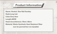Load image into Gallery viewer, UWOWO Sunday Wig Game Honkai: Star Rail Sunday Cosplay Wig Long hair Grey blue 48cm Wig
