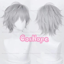 Load image into Gallery viewer, Kaworu Nagisa Cosplay Wig 32cm Silver Gray Wig Cosplay Anime Cosplay Wigs Heat Resistant Synthetic Wigs for Halloween Costume

