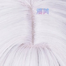 Load image into Gallery viewer, Anime Frieren Cosplay Wig 68cm Silver White Two Ponytails Heat Resistant Synthetic Hair + Wig Cap

