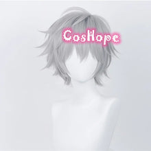 Load image into Gallery viewer, Kaworu Nagisa Cosplay Wig 32cm Silver Gray Wig Cosplay Anime Cosplay Wigs Heat Resistant Synthetic Wigs for Halloween Costume
