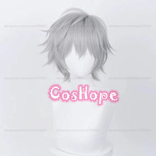Load image into Gallery viewer, Kaworu Nagisa Cosplay Wig 32cm Silver Gray Wig Cosplay Anime Cosplay Wigs Heat Resistant Synthetic Wigs for Halloween Costume
