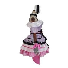 Load image into Gallery viewer, Love Live Kira Kira Sensation 9 Characters Kousaka Honoka Minami Kotori Sonoda Umi Ayase Eli Anime Customize Cosplay Costumes
