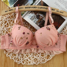 Load image into Gallery viewer, Women Underclothes Young Girl Underwear Bras A B cup Lingerie set With Brief Sexy Lingerie Lace Embroidery Bowknot Bra Sets

