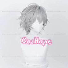 Load image into Gallery viewer, Kaworu Nagisa Cosplay Wig 32cm Silver Gray Wig Cosplay Anime Cosplay Wigs Heat Resistant Synthetic Wigs for Halloween Costume
