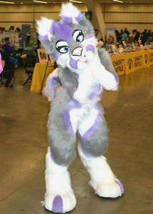 Long Fur Gray Husky Dog Fursuit Furry Mascot Costume Animal Cosplay Parade Outdoor Outfit - CosCouture
