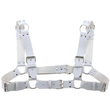 Load image into Gallery viewer, Women Men Sexy Punk Chest Harness Adjustable Caged Metal Body Chain PU Leather Choker Statement Necklace Party Clubwear
